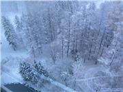 Beautiful View of Niseko 2020 December 7, uploaded by Ok Pe  [Niseko Mountain Resort Grand Hirafu, Kutchan Town, Hokkaido]